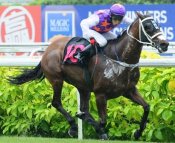 Warspirit (Tan Wei Li) on his way to a narrow victory on Monday.<br>Photo by Singapore Turf Club